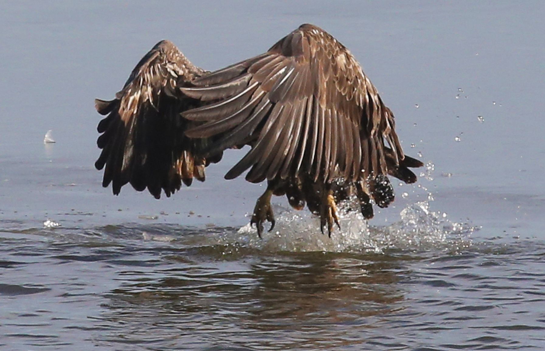 A great February day for bird watching